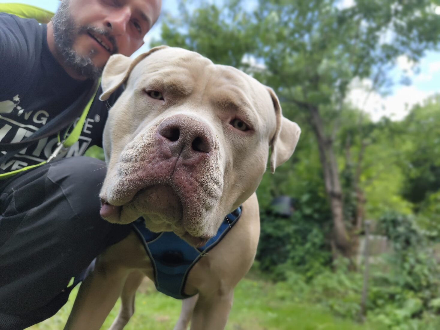 Manuel Rösch mit einem XL Bully – Hundebetreuung auch für große und spezielle Hunde